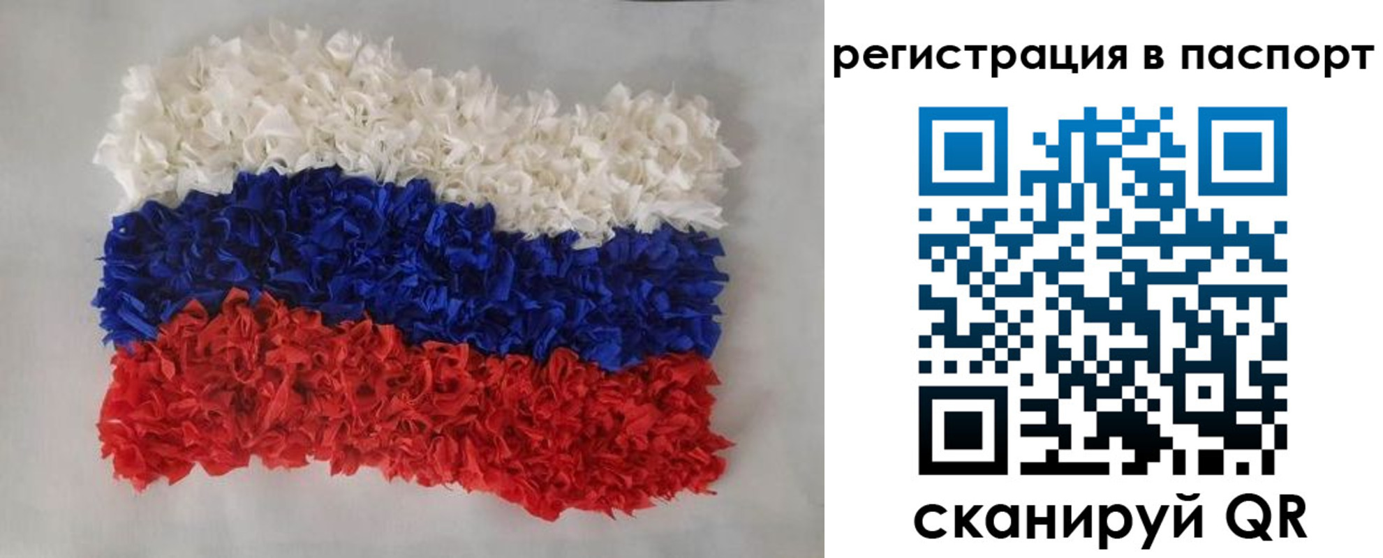 прописка регистрация в Александровске