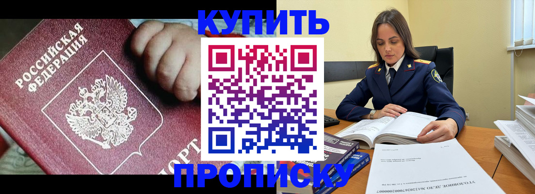 прописка поиск в Александровске